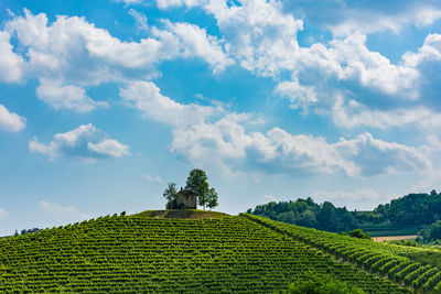 Scenic view of landscape against clear sky