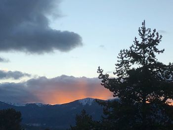 Low angle view of silhouette tree against sky at sunset