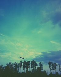 Low angle view of trees against blue sky