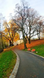 Road passing through forest