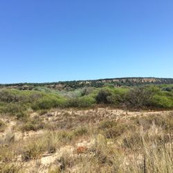 Scenic view of field against clear blue sky