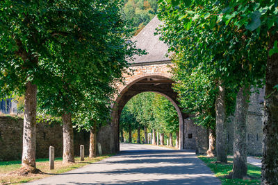 Footpath amidst trees