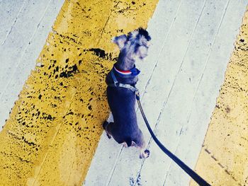 Close-up of woman in the dark