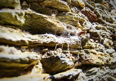 Close-up of water on rock