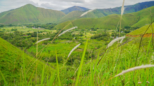 Scenic view of agricultural field by mountains against sky