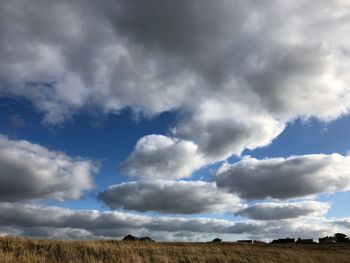 Low angle view of field against sky