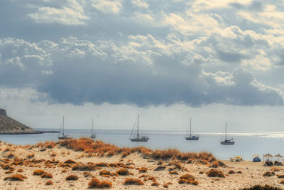 Scenic view of sea against sky