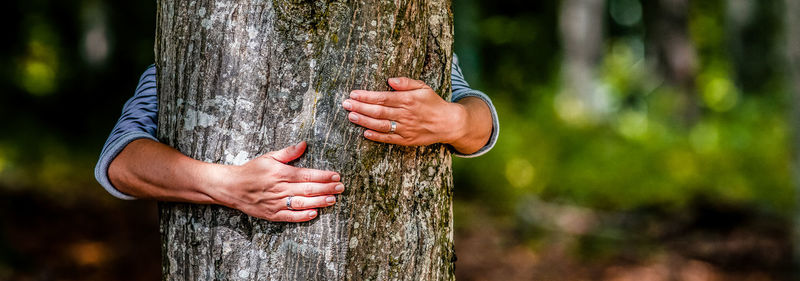 Woman hugging tree trunk outdoors
