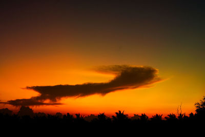 Silhouette trees against dramatic sky during sunset