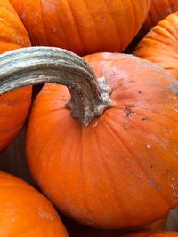 Close-up of pumpkins at farmers market