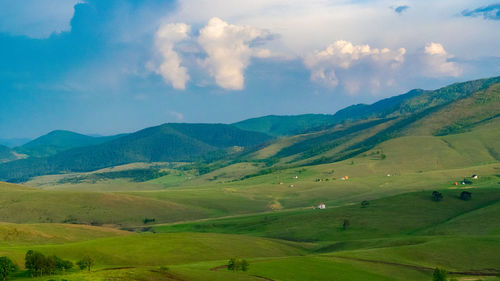 Scenic view of field against sky