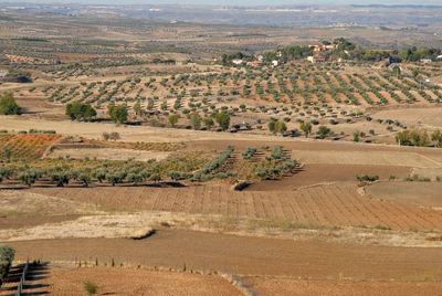 Semi aerial view over farm fields from the castle, chinchon, comunidad de madrid, spain