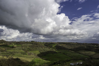 Scenic view of agricultural field against sky