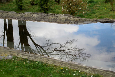 Bare tree by water against sky