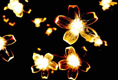 Low angle view of illuminated fireworks against sky at night