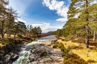 Scenic view of waterfall in forest against sky