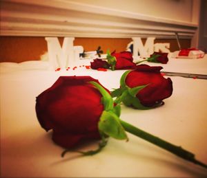 Close-up of red roses