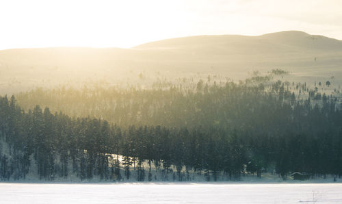 Scenic view of landscape against sky during winter