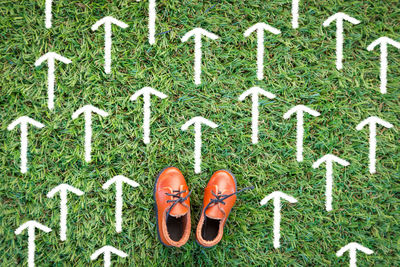 Directly above shot of shoe with arrow symbols on grass