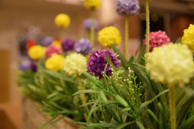 Close-up of purple flowering plants