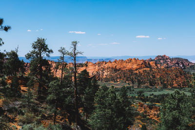 Scenic view of forest against blue sky