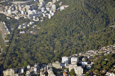 Aerial view of trees and buildings in city