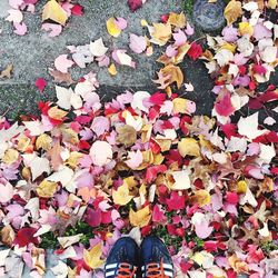 Low section of people in autumn leaves