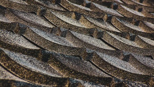 Full frame shot of a horse