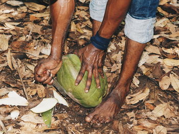 Low section of man breaking coconut while standing on field