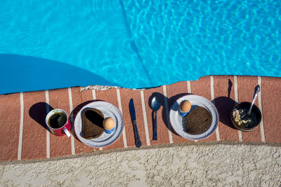 Close-up of tree against blue sky