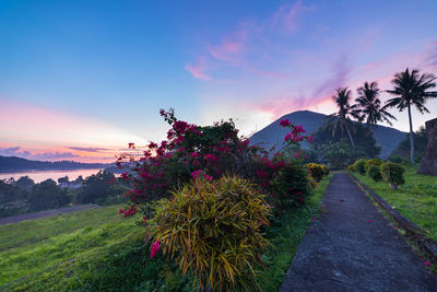 Scenic view of grassy landscape against sky during sunset