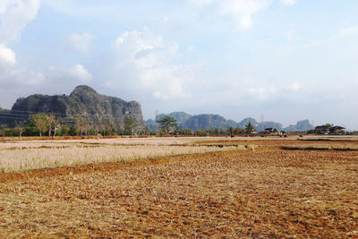 Scenic view of field against sky