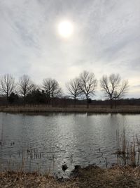 Swan on lake against sky