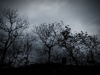 Low angle view of silhouette bare trees against sky