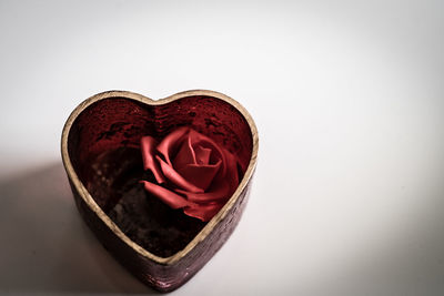 Close-up of red rose over white background