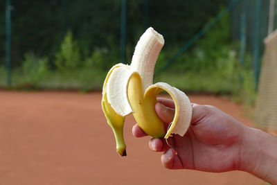 Close-up of hand holding fruit