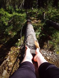 Low section of woman on tree trunk