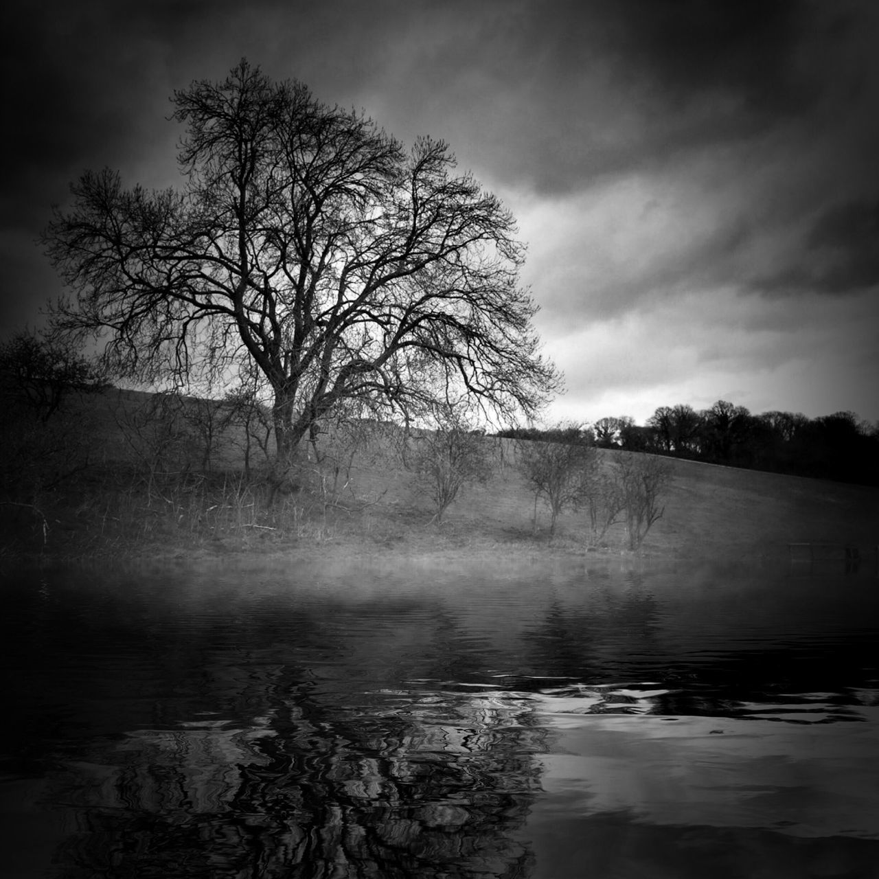 TREES ON FIELD AGAINST CLOUDY SKY