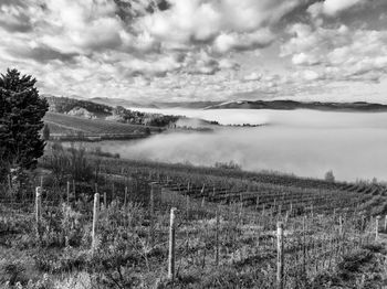 View of agricultural landscape against cloudy sky