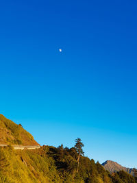 Scenic view of landscape against clear blue sky
