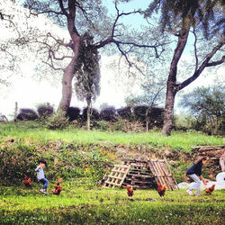 People relaxing on grassy field