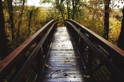 Boardwalk amidst trees