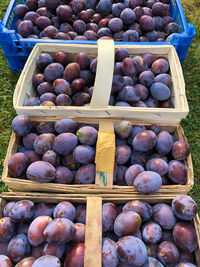 High angle view of fruits for sale at market stall