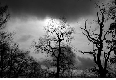 Low angle view of bare trees against cloudy sky