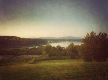 Scenic view of grassy field against sky
