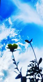 Low angle view of flowering plant against blue sky