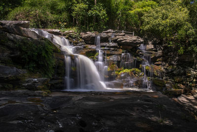 Scenic view of waterfall in forest