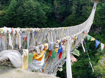 Clothes drying on rope against trees