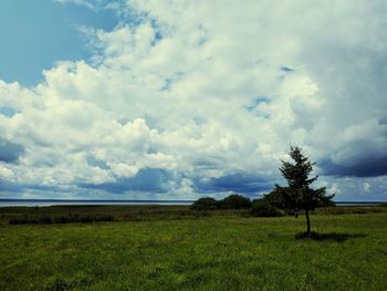 Scenic view of field against sky