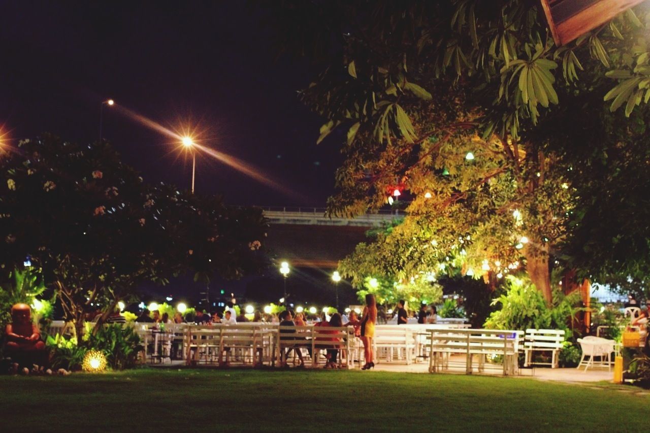 night, illuminated, tree, building exterior, grass, street light, lighting equipment, built structure, architecture, green color, celebration, park - man made space, incidental people, outdoors, sky, city, growth, lawn, light - natural phenomenon, arts culture and entertainment